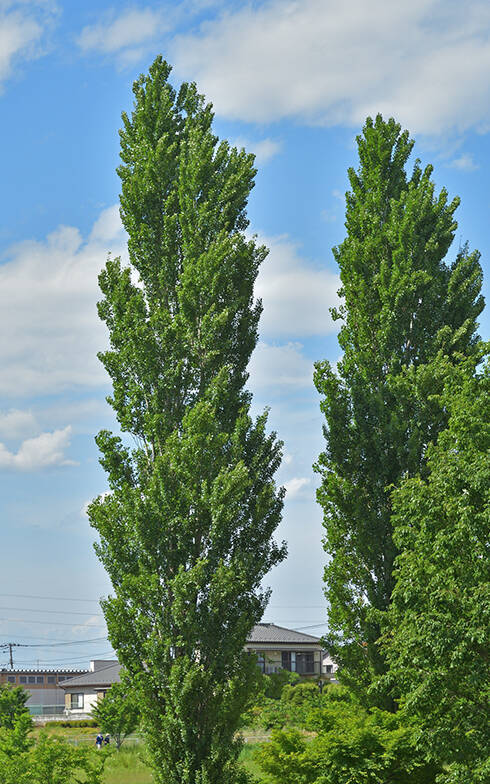 「東京駅」まで60分以内、中古マンション価格相場が安い駅ランキング 2020年版