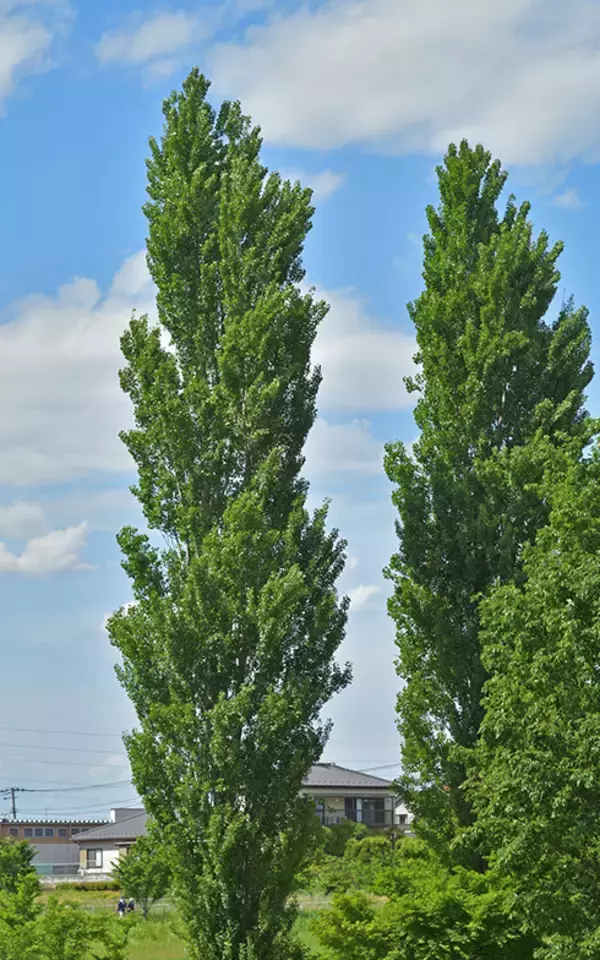 「「東京駅」まで60分以内、中古マンション価格相場が安い駅ランキング 2020年版」の画像