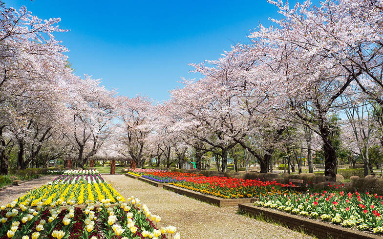 「東京駅」まで60分以内、中古マンション価格相場が安い駅ランキング 2020年版