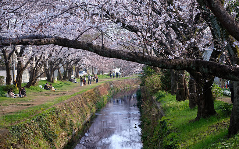 「横浜駅」まで30分以内、中古マンション価格相場が安い駅ランキング 2020年版