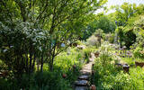 「「私の庭に寄ってって」！ 個人宅の『秘密の花園』を自由に楽しむ「こだいらオープンガーデン」」の画像3