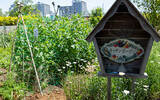 「「私の庭に寄ってって」！ 個人宅の『秘密の花園』を自由に楽しむ「こだいらオープンガーデン」」の画像5
