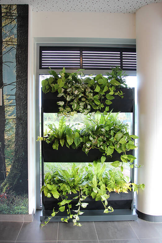 最新トレンドは「心と健康にいい住宅」。コロナ禍に世界中で注目される“WELL認証”って？