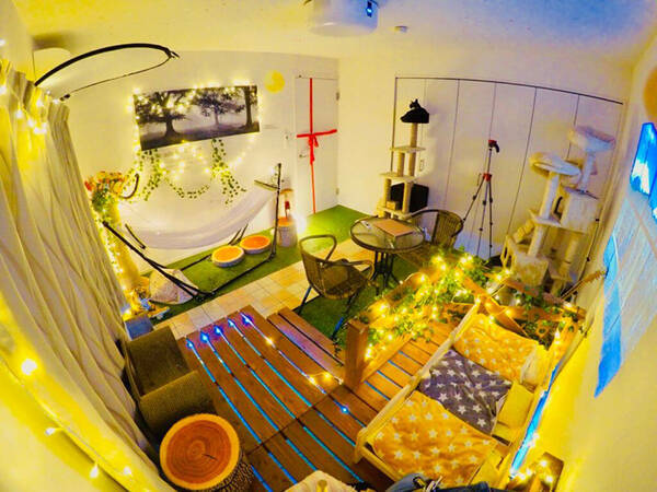 猫マスター響介さんが叶えた 猫ファースト の注文住宅 賃貸ワンルームから猫御殿まで変遷も紹介 21年8月2日 エキサイトニュース