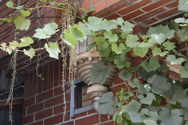 「築100年の長屋のまち「墨田区京島」にクリエイターが集結中！ いま面白い東京の下町」の画像