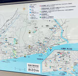 「神奈川県大磯の”本気の防災”！ 3000人参加の避難訓練など首都圏屈指の共助力とは？」の画像4