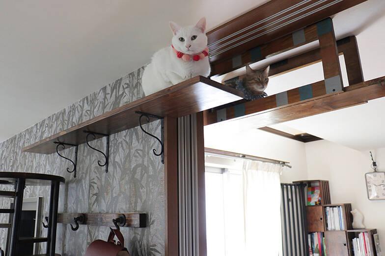 無重力猫ミルコの家 Diyで注文住宅を 猫の巨大なジャングルジム へ 21年10月14日 エキサイトニュース 5 8