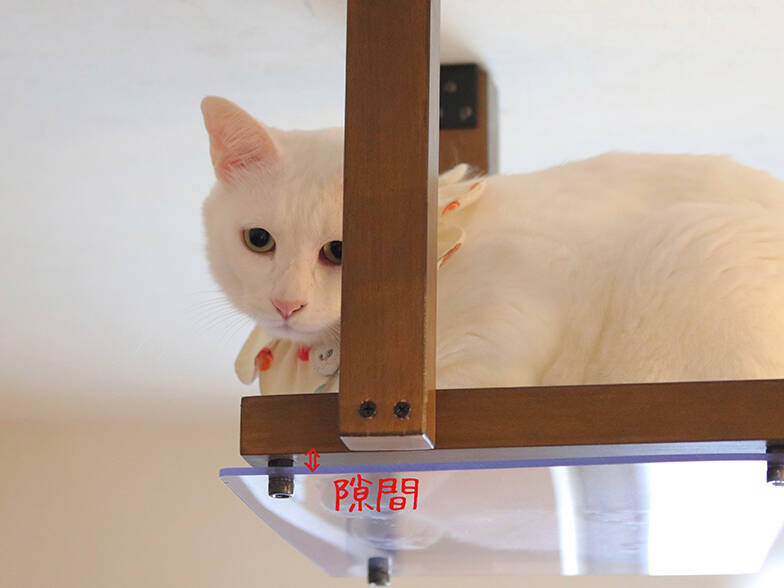 無重力猫ミルコの家 Diyで注文住宅を 猫の巨大なジャングルジム へ 21年10月14日 エキサイトニュース 6 8