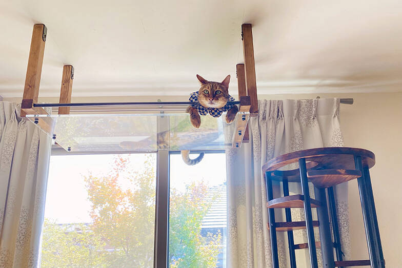 無重力猫ミルコの家 Diyで注文住宅を 猫の巨大なジャングルジム へ 21年10月14日 エキサイトニュース 6 8