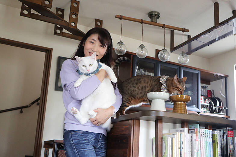 無重力猫ミルコの家 Diyで注文住宅を 猫の巨大なジャングルジム へ 21年10月14日 エキサイトニュース