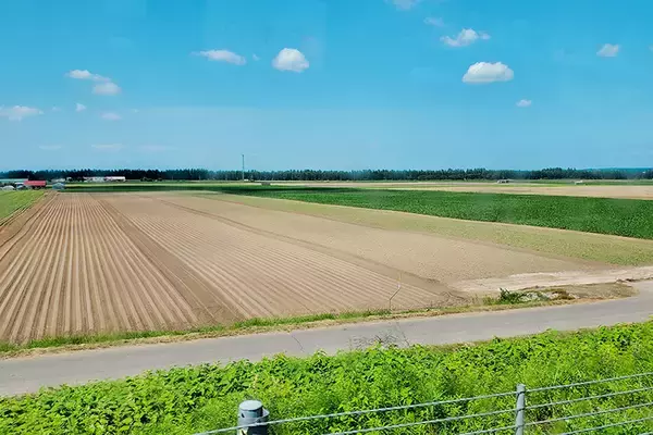 「今「ローカル飲食チェーン」が熱い。元 『秘密のケンミンSHOW』リサーチャーが注目する7社」の画像