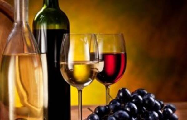 今日はイタリアワインの日。イタリアワインの生産地別の特徴とは