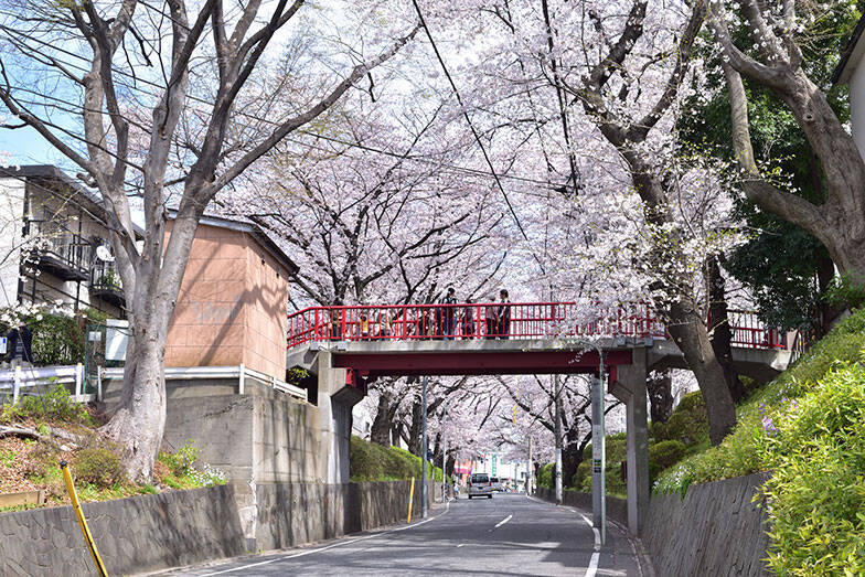 住民が選ぶ、家賃が手ごろで「住み続けたい街」東京23区1位は御嶽山！銭湯や駄菓子屋、消防団が日常に溶け込む「ご近助」の温もり｜「SUUMO住み続けたい街ランキング2026 首都圏版」