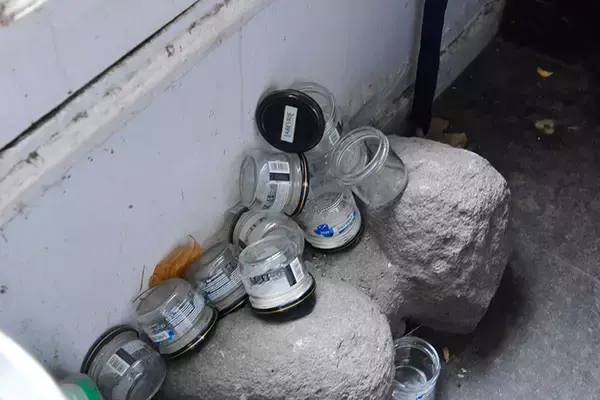 「パリの美術修復家がセルフリノベした43平米アパルトマンが素敵すぎる！ ”道端で拾ったもの”で自作した「侘び寂び」空間　パリの暮らしとインテリア[21]」の画像