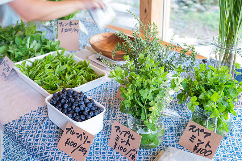 なぜ地方工務店が過疎地に”村”をつくったのか。「家を建てるより、建てたくなる街をつくる」挑戦　鹿児島霧島市「小浜ヴィレッジ」