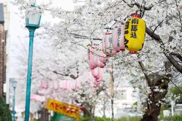 「【2026年】東京23区の中古マンション価格相場が安い駅ランキング。シングル向け、カップル・ファミリー向け、それぞれ1位は？」の画像