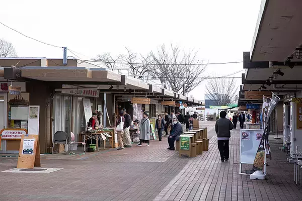 「築60年”昭和マンモス団地”で「1泊避難体験」。震災きっかけに11年続く防災イベントが好評！ 子ども集まる駄菓子屋など団地内商店街に活気も　町田山崎団地（東京）」の画像