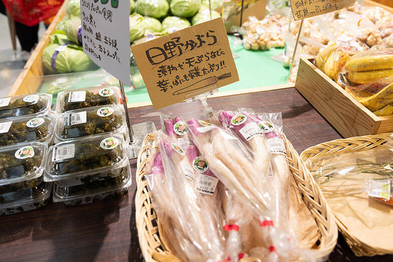 NYタイムズ選出「行くべき場所」富山市は、”なにもない日常”が究極すぎる街。きときとな魚に野菜、立山を望む街並み…当たり前レベルの高さに迫る