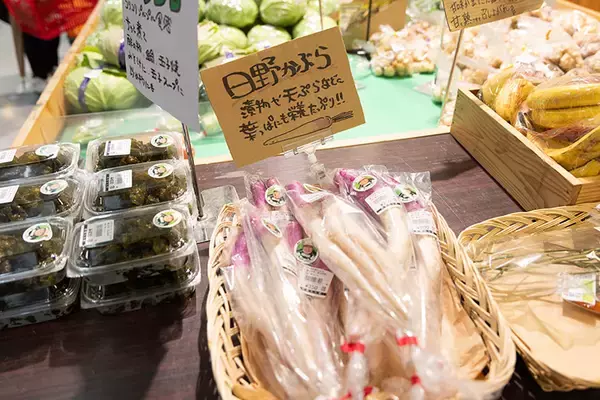 「NYタイムズ選出「行くべき場所」富山市は、”なにもない日常”が究極すぎる街。きときとな魚に野菜、立山を望む街並み…当たり前レベルの高さに迫る」の画像