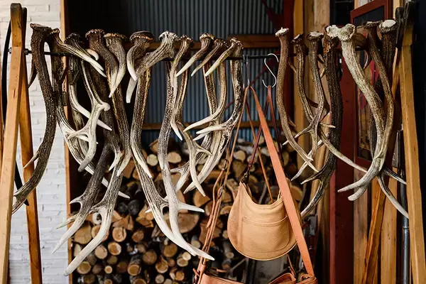 「タイニーハウスに一家4人で暮らし、エゾシカを狩る。ハンター兼大工の長谷耕平さんの日常　北海道池田町」の画像