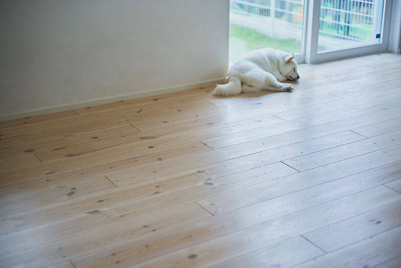 【76平米コンパクト平屋】アメリカンハウス調の”無駄なし間取り”で子育て＆愛犬との暮らしを快適に。実家の隣、親ともつながる日常　埼玉県・行田市