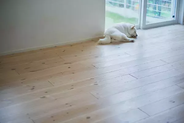 「【76平米コンパクト平屋】アメリカンハウス調の”無駄なし間取り”で子育て＆愛犬との暮らしを快適に。実家の隣、親ともつながる日常　埼玉県・行田市」の画像