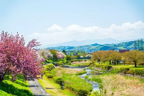 「JR中央線（東京都内）、中古マンション価格相場が安い駅ランキング 2022年版」の画像