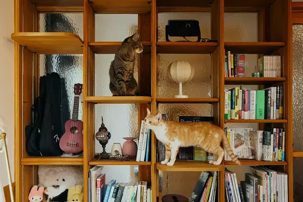 「【リノベ最前線】「DIY・コスト対策・多様性」が最旬トレンド。技ありリノベ事例が満載！ 独身リノベ、猫の家など｜リノベーション・オブ・ザ・イヤー2025レポート」の画像