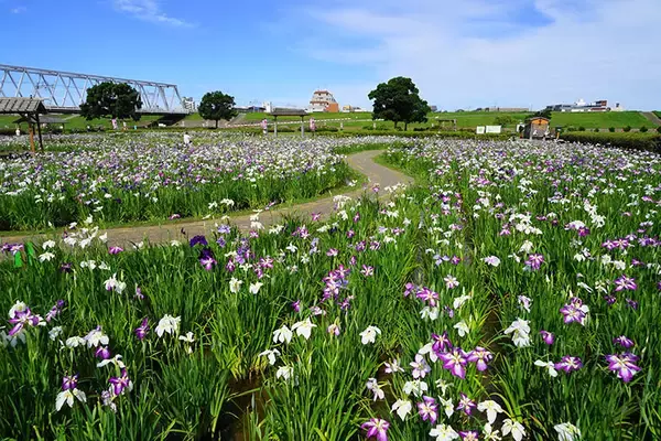 「【2024年】東京23区の家賃相場が安い駅ランキング 。トップ3はすべて江戸川区で6万5000円以下！」の画像