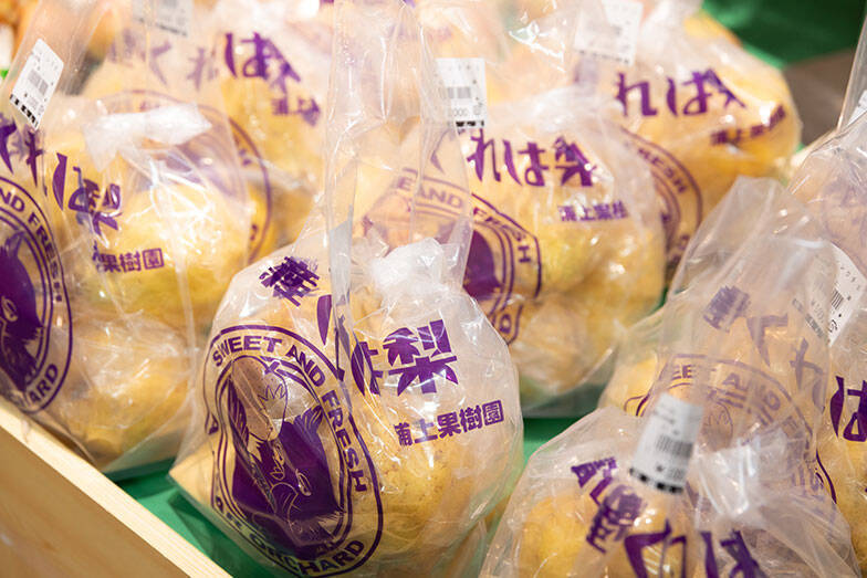 【富山市】移住者の目線で見た、NYタイムズ選出「行くべき場所」。コンパクトな街に富山市立図書館本館などサードプレイスがあちこちに！ 人とつながる豊かな暮らし