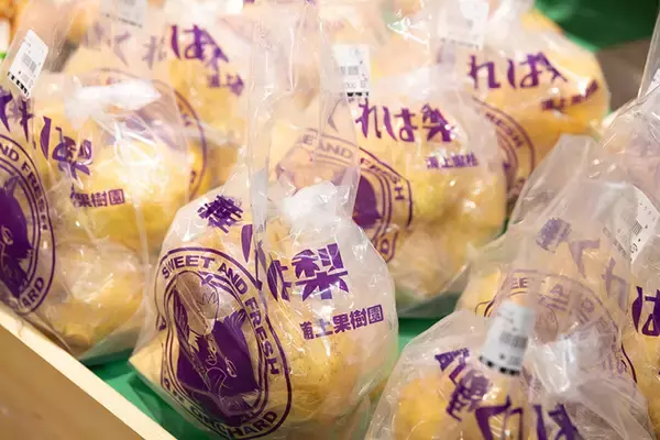 「【富山市】移住者の目線で見た、NYタイムズ選出「行くべき場所」。コンパクトな街に富山市立図書館本館などサードプレイスがあちこちに！ 人とつながる豊かな暮らし」の画像