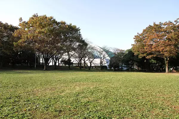 「【2025年】小田急沿線、中古マンション価格相場が安い駅ランキング。二人暮らし・ファミリー向け1位は1500万円未満！」の画像