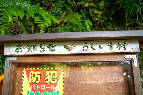 「空き家リノベを家主の負担0円で！ 不動産クラウドファンディングが話題　鎌倉市・エンジョイワークス」の画像