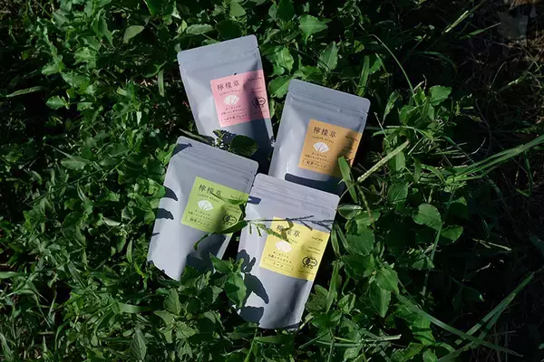 「“まち医者”のようなデザイナーでありたい。長崎県五島へUターン、9割は島内の仕事を。「草草社」有川智子さんの、懐かしくも新しい働き方　」の画像