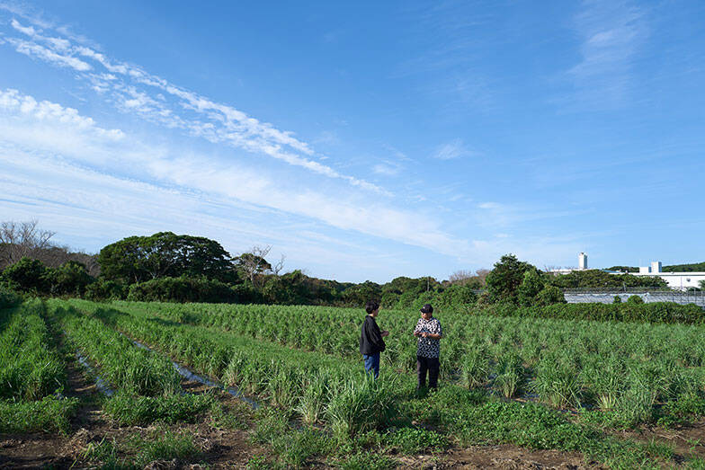 “まち医者”のようなデザイナーでありたい。長崎県五島へUターン、9割は島内の仕事を。「草草社」有川智子さんの、懐かしくも新しい働き方　