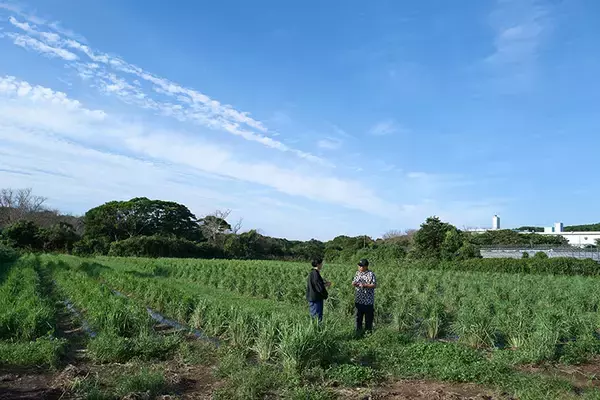 「“まち医者”のようなデザイナーでありたい。長崎県五島へUターン、9割は島内の仕事を。「草草社」有川智子さんの、懐かしくも新しい働き方　」の画像