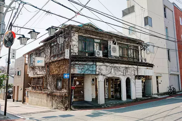 「いま長野・善光寺門前に人が集まる理由。キーマン30年の熱量「まず自分たちがやりたいことをやる。公共性は後からついてくる」増澤珠美さん」の画像