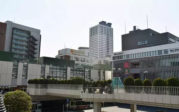 「SUUMO住みたい街ランキング2024」練馬が注目度急上昇！ レトロ飲食店街、巨大公園、人気エンタメ施設、温浴施設など、一日遊べるリゾートみたいな街だった！