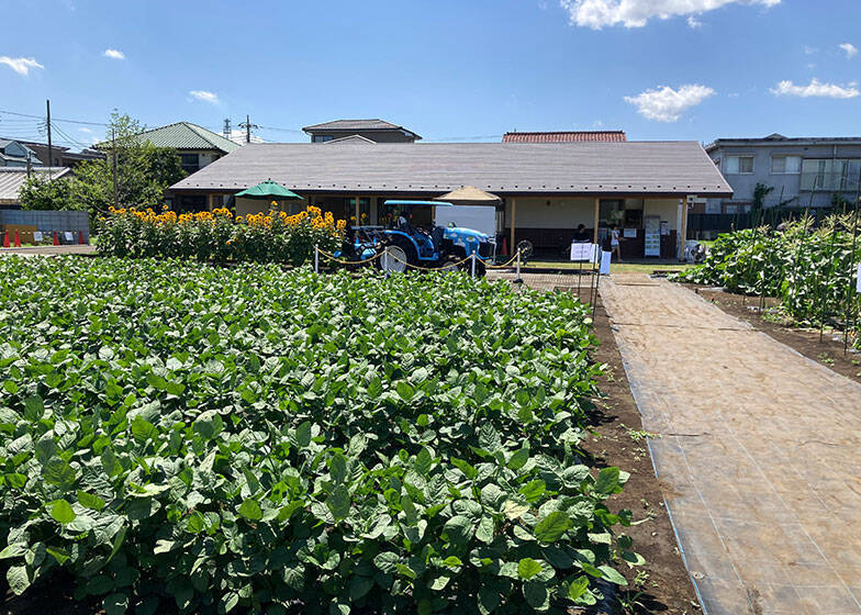 「SUUMO住みたい街ランキング2024」練馬が注目度急上昇！ レトロ飲食店街、巨大公園、人気エンタメ施設、温浴施設など、一日遊べるリゾートみたいな街だった！