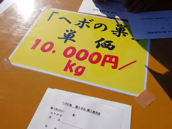 「蜂がブンブン飛び交う“日本一危険な祭り”に参加して最高にウマい「蜂の子料理」を味わってきた」の画像
