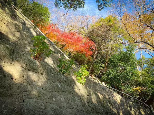 「人気スポットで金運・勝負運をアップ！ 国宝「久能山東照宮」の参拝＆絶品の甘味処」の画像