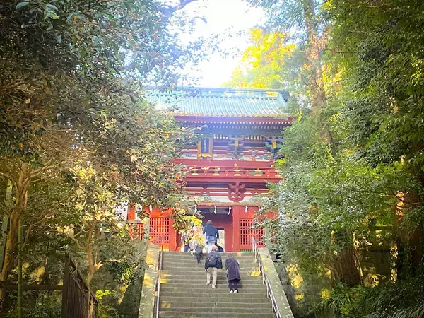 「人気スポットで金運・勝負運をアップ！ 国宝「久能山東照宮」の参拝＆絶品の甘味処」の画像