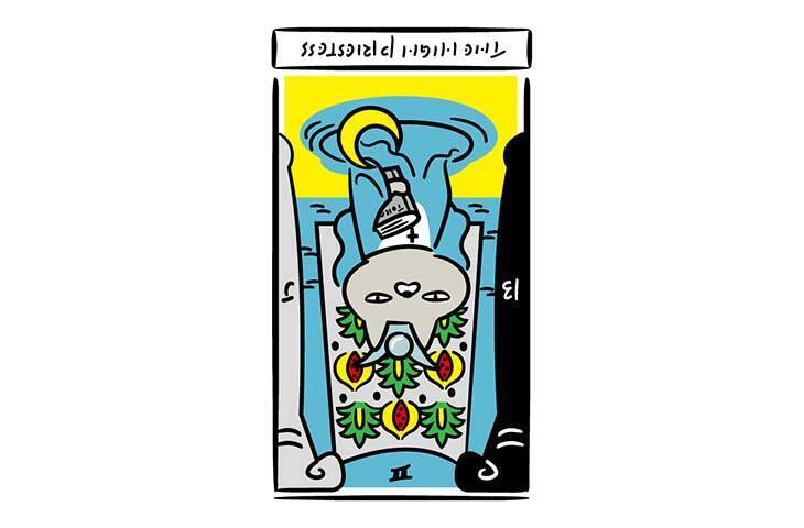 【保存版】占ねこが占う、2026年上半期あなたの運勢（7月・8月・9月・10月・11月・12月生まれ）