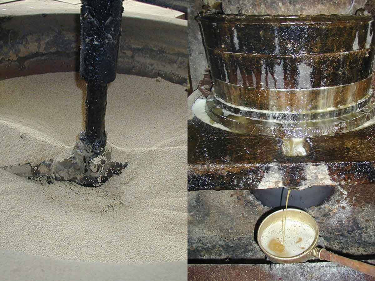 編集部員が実際に“食べて”“使って”セレクト！ 2022年「お値打ちもの」コレクション