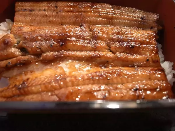 創業300年。“うなぎのまち・成田”の老舗日本料理屋『菊屋』で味わう国産鰻重が旨い！