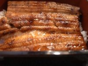 創業300年。“うなぎのまち・成田”の老舗日本料理屋『菊屋』で味わう国産鰻重が旨い！