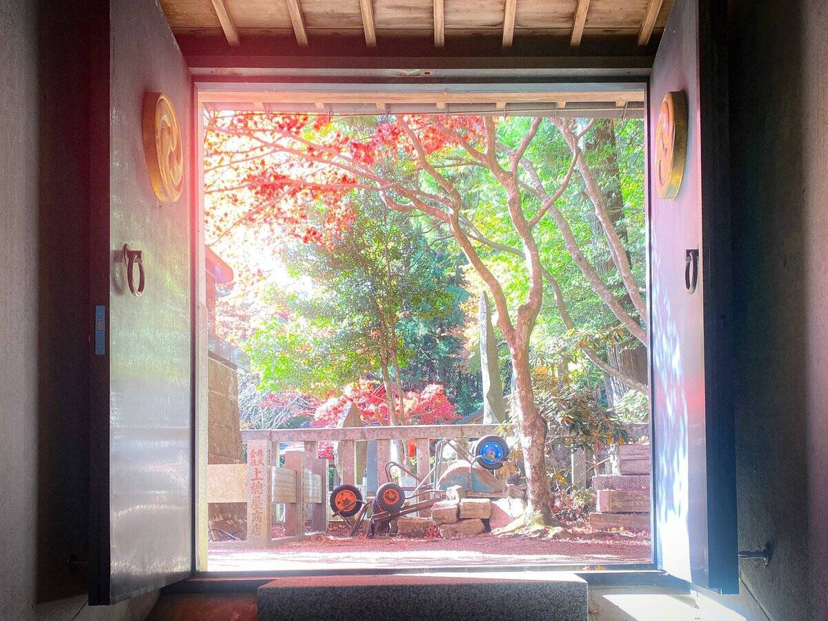 【神奈川】旅ライターおすすめ！ 紅葉シーズンの大山で味わう絶品グルメ3選