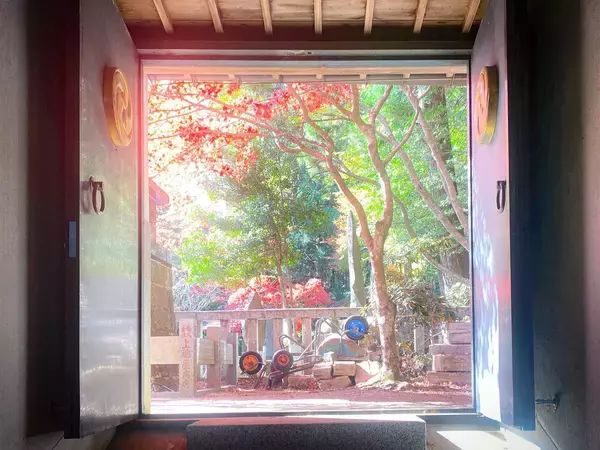 「【神奈川】旅ライターおすすめ！ 紅葉シーズンの大山で味わう絶品グルメ3選」の画像