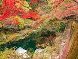 「【紅葉と温泉スポット】岡山の紅葉の名所めぐりと温泉を楽しむ秋のお出かけ9選」の画像1