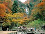 「【紅葉と温泉スポット】岡山の紅葉の名所めぐりと温泉を楽しむ秋のお出かけ9選」の画像3